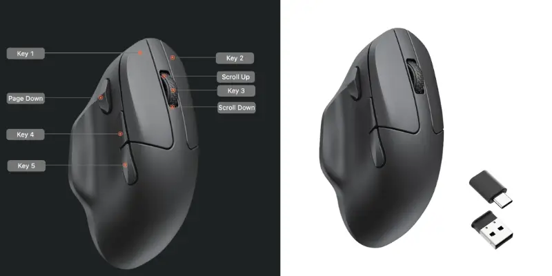 Ergonomic Wireless Mouse Button Configuration Diagram With Usb C And Usb A Receivers At Bitbyteiq.com