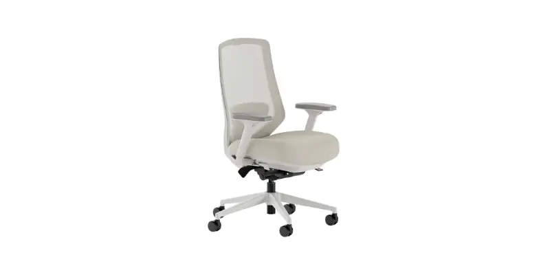 Light Gray Mesh Branch Ergonomic Chair Pro Without A Headrest Providing Full Adjustability From Bitbyteiq.com